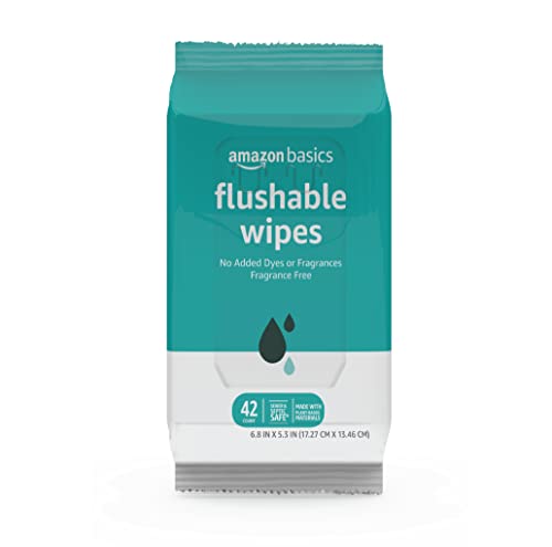 Moist Toilet Wipes